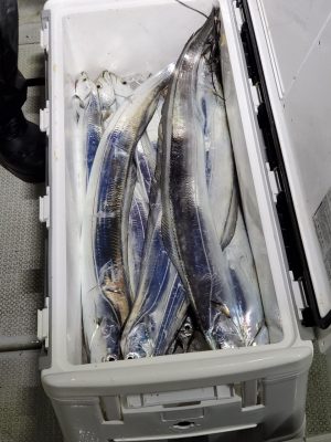20201209_231025.jpg