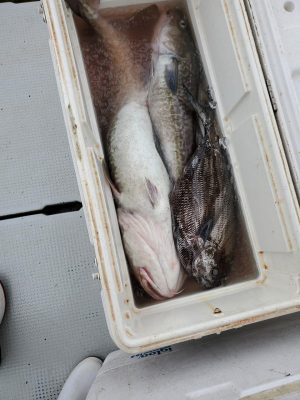 20201224_132402.jpg